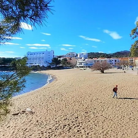Apartment Con Vistas Al Mar, Se Admiten Mascotas Y Aparcamiento En - Es-170-15 Llanca